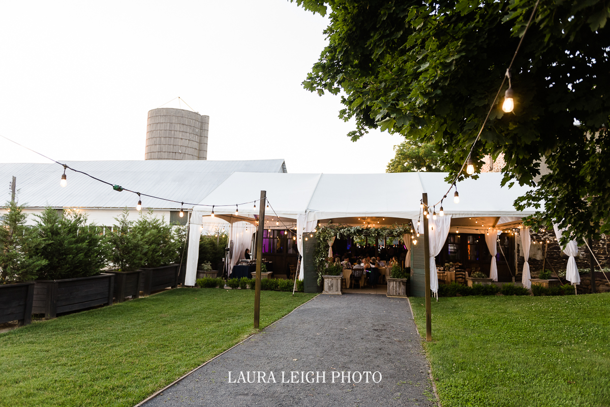 johnsons locust hall farm wedding photos-74