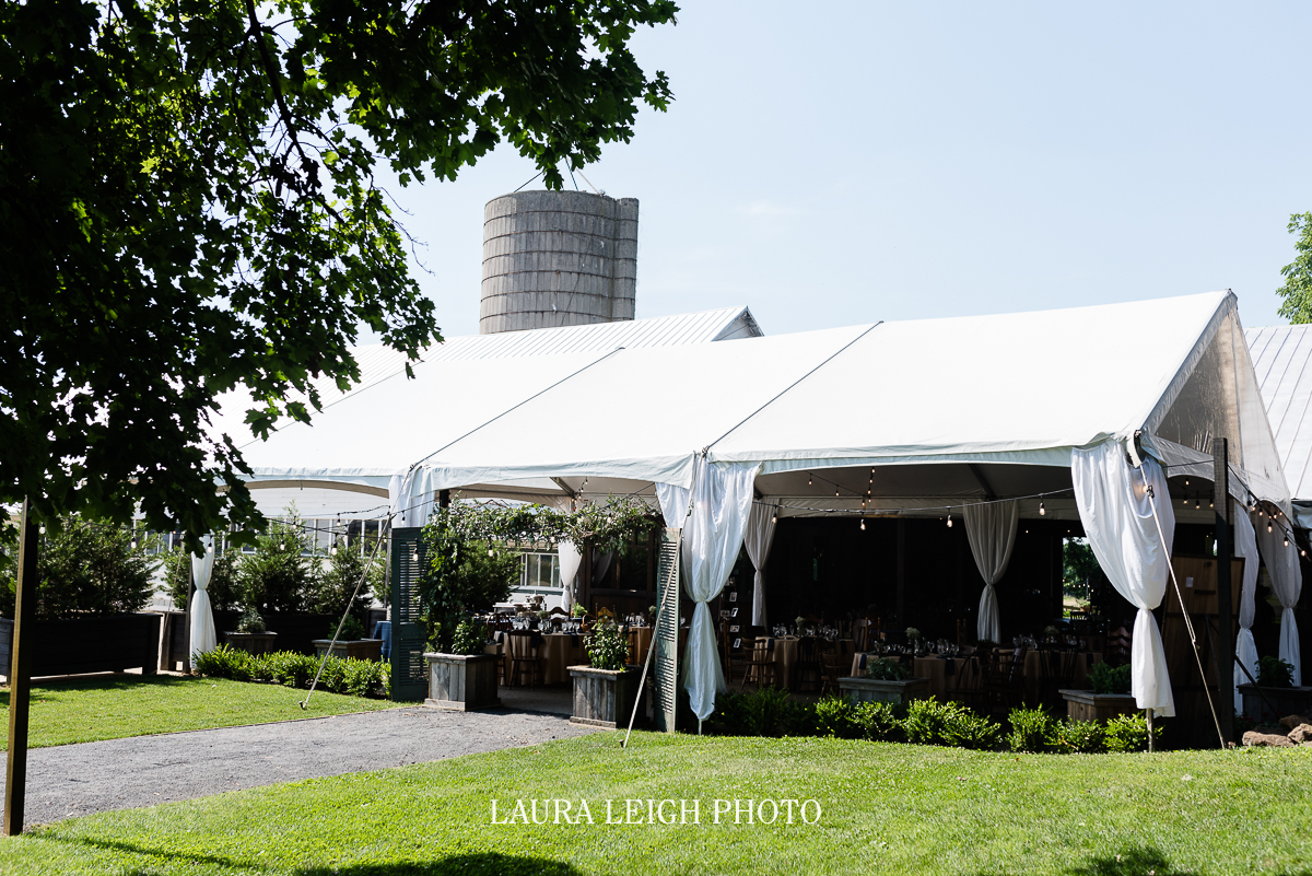 johnsons locust hall farm wedding photos-55